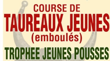 Club Taurin : course de taureaux jeunes