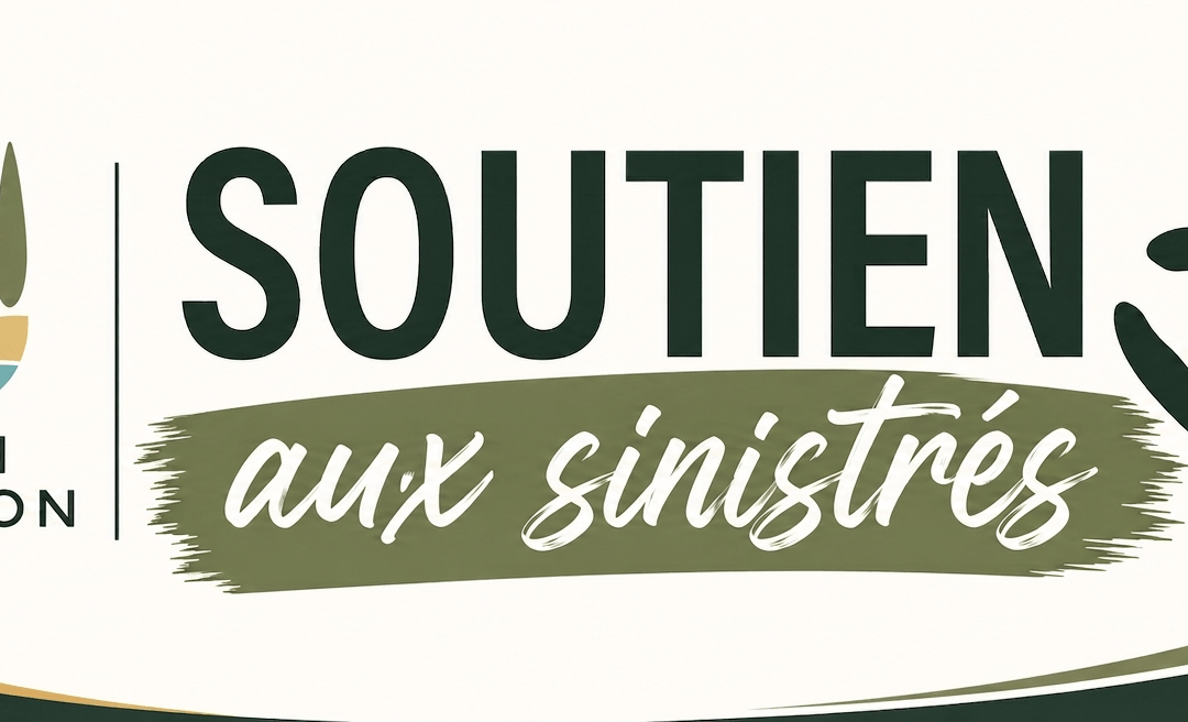 Solidarité incendies : appel aux dons